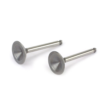 Saito Valve In/Out (Pair)