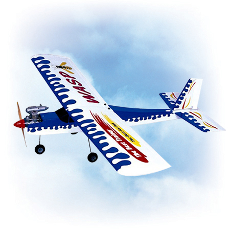 VQ Model Wasp Trainer