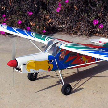Pilatus PC-6 (Bird Version) 62.2in Wingspan