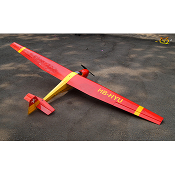 Motorspatz 98.4in (2.5m) Wingspan