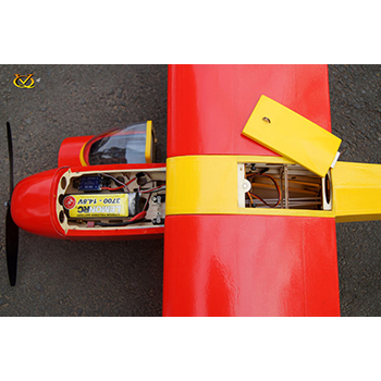 Motorspatz 98.4in (2.5m) Wingspan