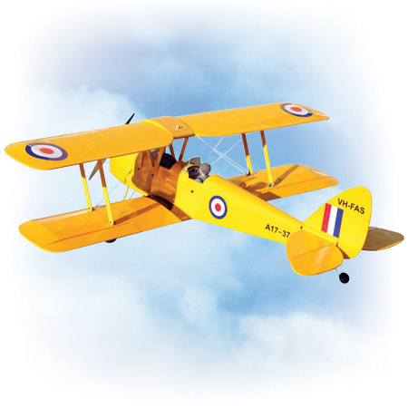 VQ Model Tiger Moth DH-82 ARF
