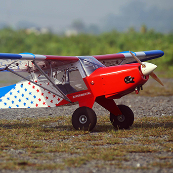 Skyfox Sti 100in Wingspan ARF